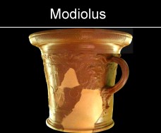 römische Keramik Italien Modiolus